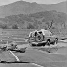 Green Wednesday: Napa's Historic Floods and Flowering Quince