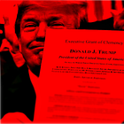 Congress Should Curb the Illicit Use of Pardon Powers by a Rogue President