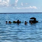 Tahiti. Vita e lavoro dall'altra parte del mondo
