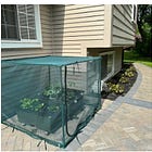 ChatGPT transformed my backyard.