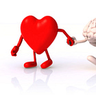 Your Brain on Exercise