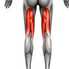 Muscle Monday: The Hamstrings
