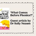 What Comes Before Phonics? - Guest Article by Dr. Sally Neaum