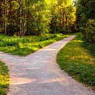 The road not travelled 