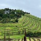 Sonoma California - Where Oceans, Mountains, and Vines Meet