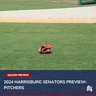 2024 Harrisburg Senators Preview: Pitchers