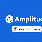 How Amplitude Grows: Making Moneyballers 