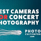 Best Point-and-Shoot Cameras for Concert Photography