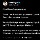 Illegal migrant crime stories keep coming