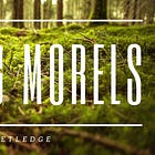 Seeking Morels | Chapter One: Part 1 (of 3)