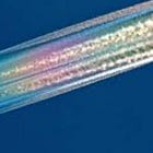 Weather Warfare Uncovered: US Government's Secret Climate Control and Chemtrail Operations—Are We All Just Guinea Pigs