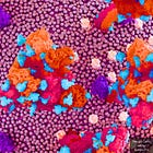 Disease-Causing COVID Jab Spike Protein Stays in Body 709 Days: Yale Researchers