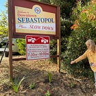 Sebastopol Civic Gardeners sets out to spruce up city-owned properties