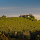 Goldilocks Acidity: How Winemakers Get Arneis Just Right.