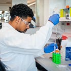 Merck: Large Value Company Currently Undervalued
