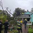 Falling tree damages Sebastopol Area Senior Center