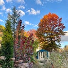 Notes from Havenwood