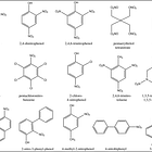 A primer on why computational predictive toxicology is hard
