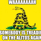Look, Honey, The Alitos Put Up Another Treason Flag