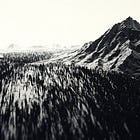 The Open Frontier of Meaning