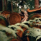 Exploring Structured Logging with slog in Go