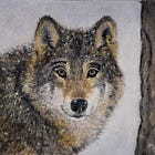 Wolf in sneeuwlandschap
