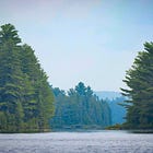Backcountry Secrets: What Experienced Campers Don't Want You to Know About Leaving No Trace
