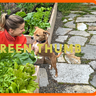 Issue #195: If You Want to Be Happy Forever, Plant a Garden