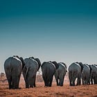 The Overlooked Aspects of Successful Development Teams