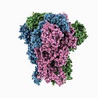 Spike Protein Shedding & Toxicity