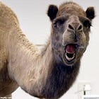 The Jihad of Higher Learning