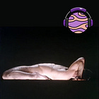 'Nudes in Limbo' and the naked aesthetic