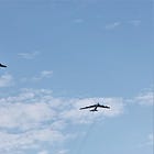 US Carries Out Collective Self-Defense Airstrike Against al-Shabaab Militants In Somalia