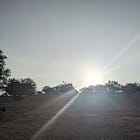 The Land, the Yoga, the Self