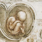 Our Lady's womb: Sanctuary of divine expectation and compassion