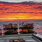 Will pop-up crab pots save Bodega Bay's crabbing industry? 