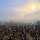 Edição Especial: 1 Ano de "Um Vinho em 1 Minuto" com um Tour em Champagne.