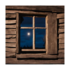  The Pig Barn Plot (Ch24)