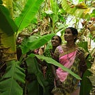 The Question is... Are India’s Forests Really Growing?