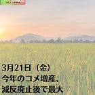 3月21日（金）今年のコメ増産、減反廃止後で最大