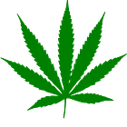 A Smoking Multibagger in the Cannabis Industry? - Stock Pitch #11