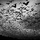 Bats
