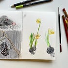 REPLAY: 'Under the Surface' Drawing Session, with Creative Cocoon Art Club