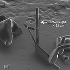 Ηλεκτρονική μικροσκόπιση των micro-κεραιών νανοτεχνολογίας σε εμβολιασμένο αίμα με το βιολογικό όπλο Covid-19