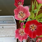 Porch #171 ✍️ I'm quietly easing on into my 18th year of writing 