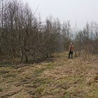 Permanent edible planting (part one)