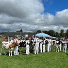 Fall Fairs Bring Back Memories & Chance to Make New Ones