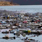 The True Problem of a Disposable World