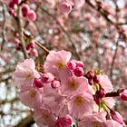 March 2025 wrap-up | Saatchi Gallery, my flower obsession, and a reading update