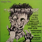 It Came From Slimey Valley | 90s Rock Album Revisited